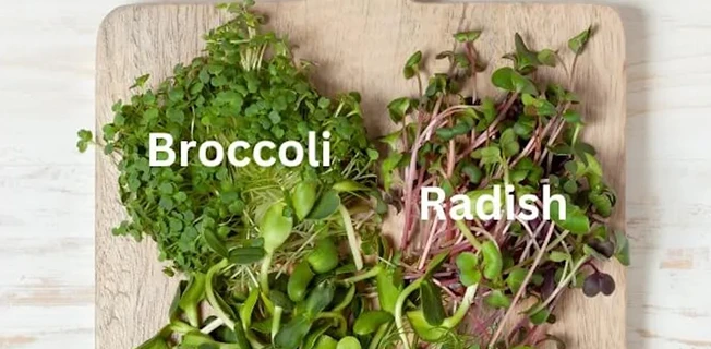 How to use Microgreens