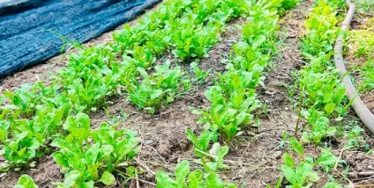 shot of an attractive young woman