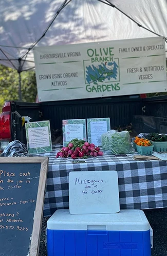 selling veggies and microgreens at local markets